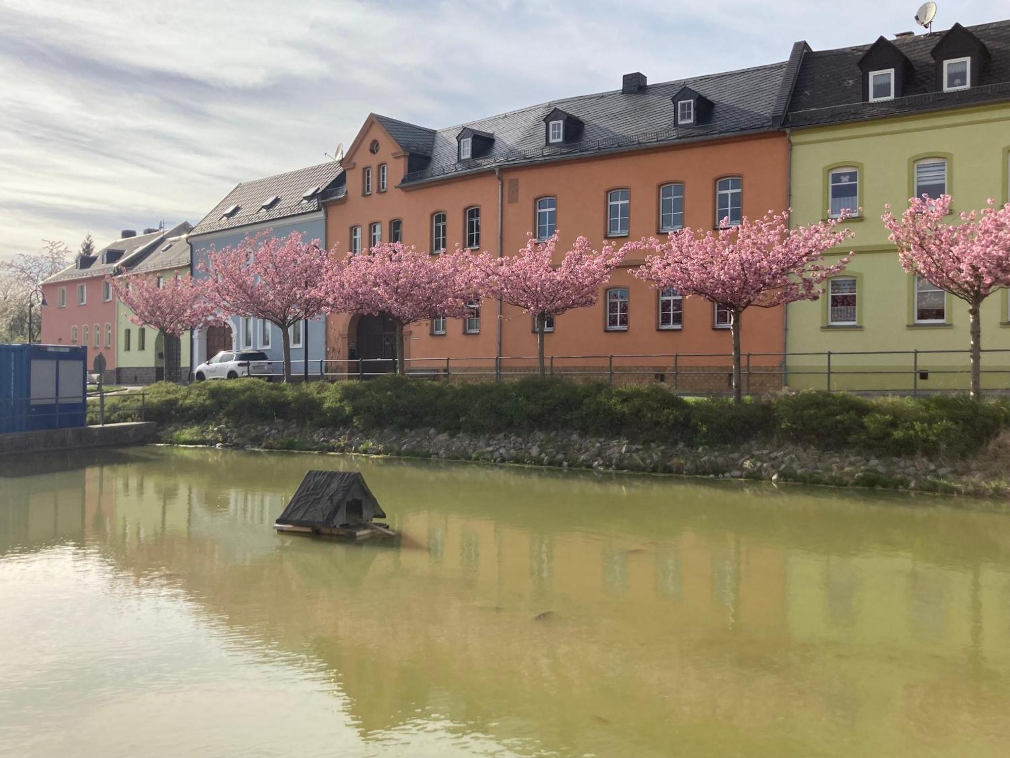 Pension Und Ferienwohnung Am Teich Schleiz Ngoại thất bức ảnh