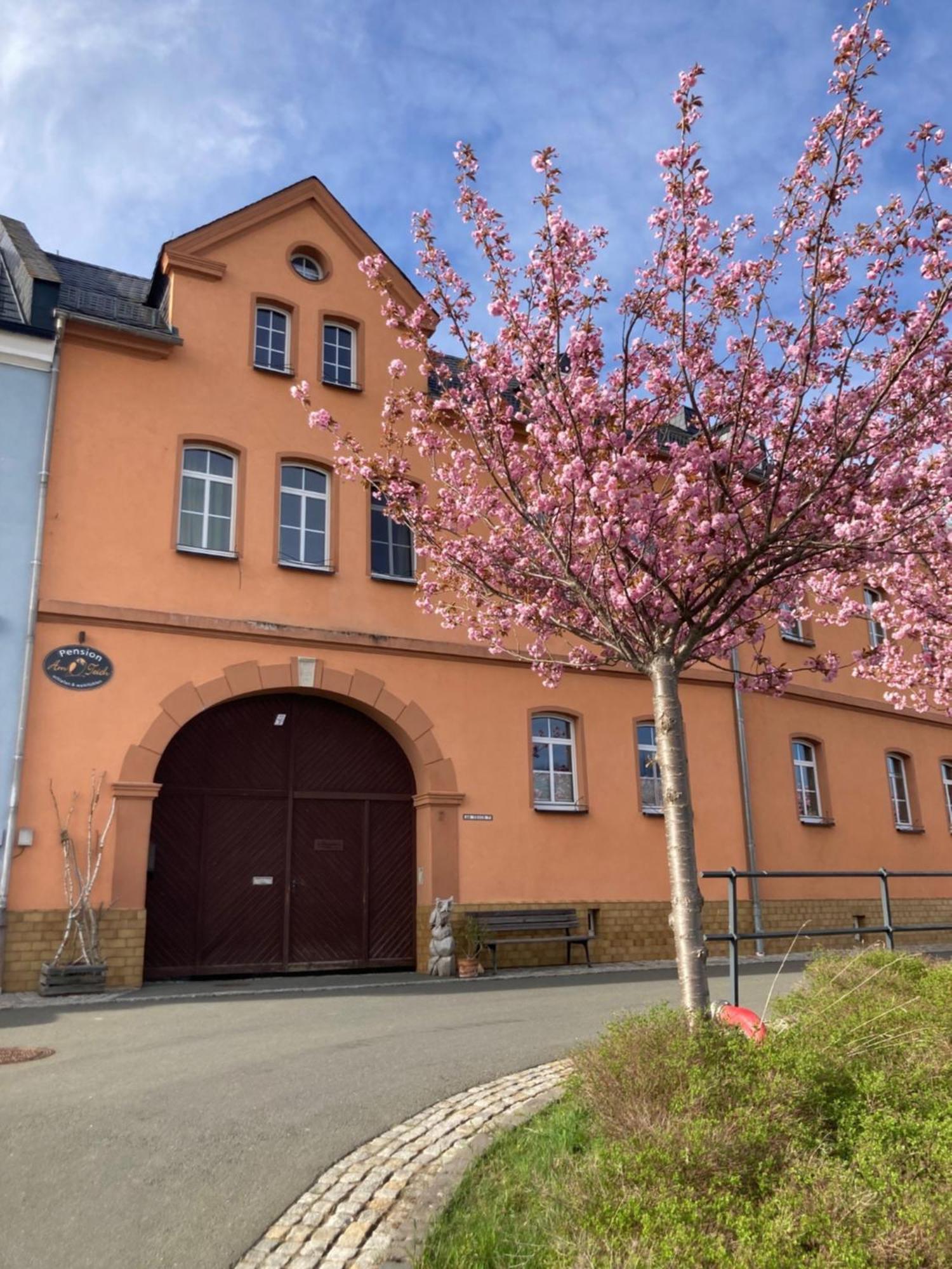 Pension Und Ferienwohnung Am Teich Schleiz Ngoại thất bức ảnh